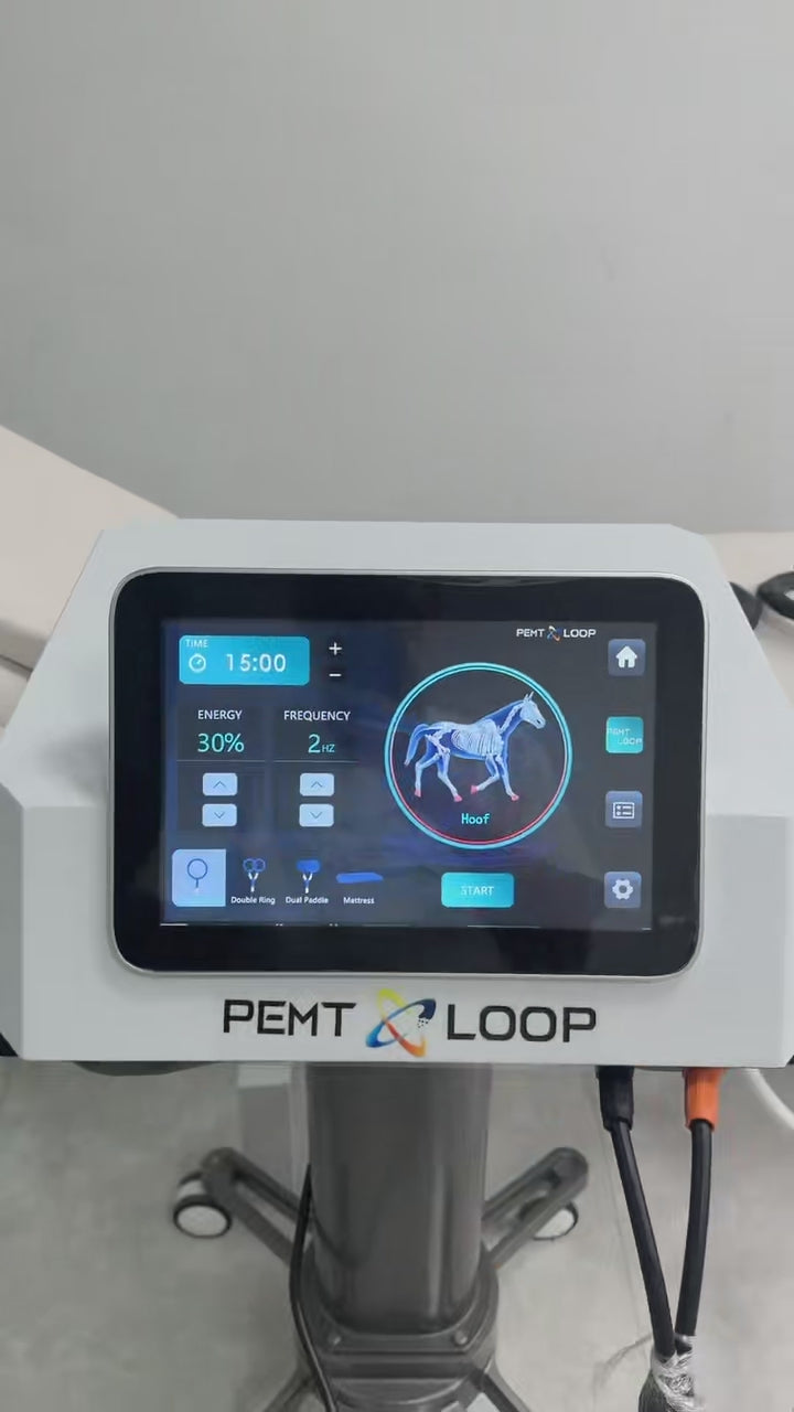 PMST EMTT Physio Therapy Magnetic Loop Body Pain Relief PEMT Therapy Machine