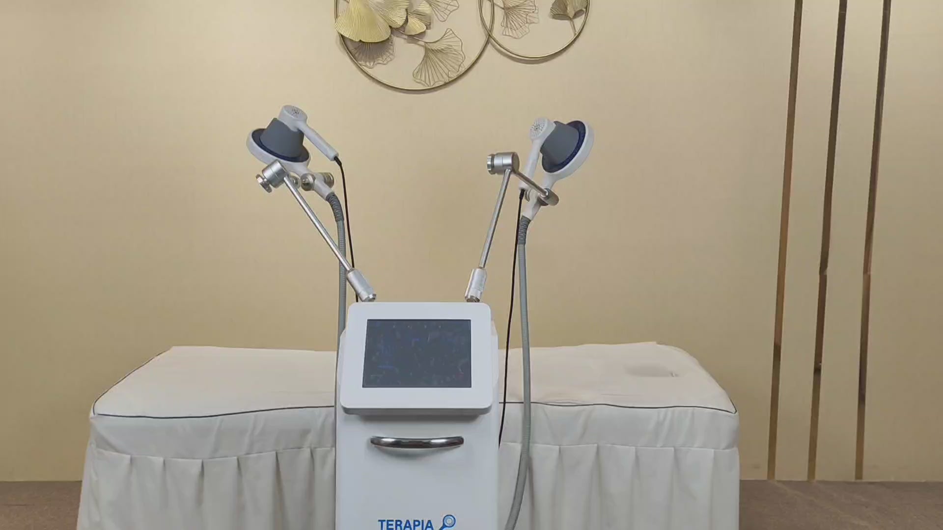 Emtt PMST Physio Magneto Therapy Magnetoterapia Pain Relief PEMF Sports Injury Therapy Magnetic Physiotherapy Machine