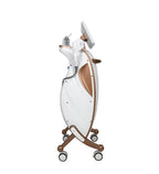 Newest Factory Price Vertical High Intensity HIFU Machine for Face Skin Tightening Fat Reduction Body Slimming US