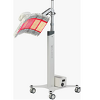 Factory Price Powerful Standing 4 Colors Light LED PDT Therapy Machine Acne Treatment Skin Rejuvenation Whitening Tightening Face Beauty Machine