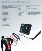 PMST EMTT Physio Therapy Magnetic Loop Body Pain Relief PEMT Therapy Machine