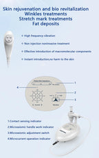 Hot Selling Home Use Effectively Introduce Skin Care EMS Product Guided Dermo Electro Proration Non-Invasive Beauty Machine