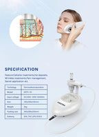 Hot Selling Home Use Effectively Introduce Skin Care EMS Product Guided Dermo Electro Proration Non-Invasive Beauty Machine