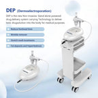 Hot Selling Home Use Effectively Introduce Skin Care EMS Product Guided Dermo Electro Proration Non-Invasive Beauty Machine