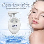 Hot Selling Home Use Effectively Introduce Skin Care EMS Product Guided Dermo Electro Proration Non-Invasive Beauty Machine